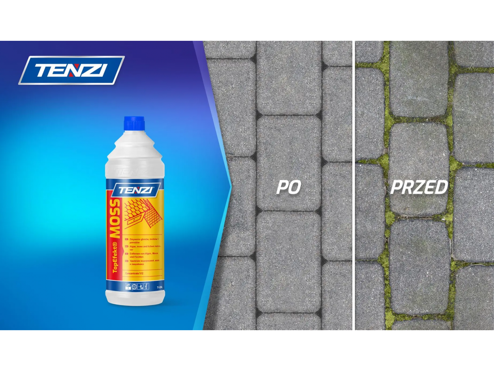 Top Efekt MOSS T24 Tenzi 5l grzybobójczy